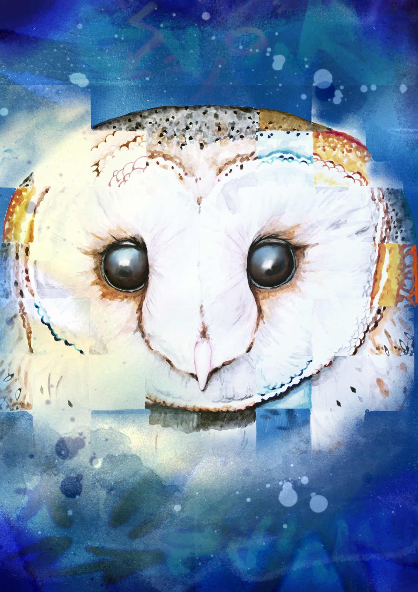 Barn Owl Print